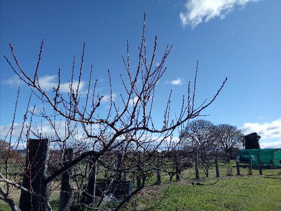 CanberraCtyFarm's tweet photo. July at Canberra City Farm - https://t.co/eMxLe3BGe4 https://t.co/6zSPJkwFpu