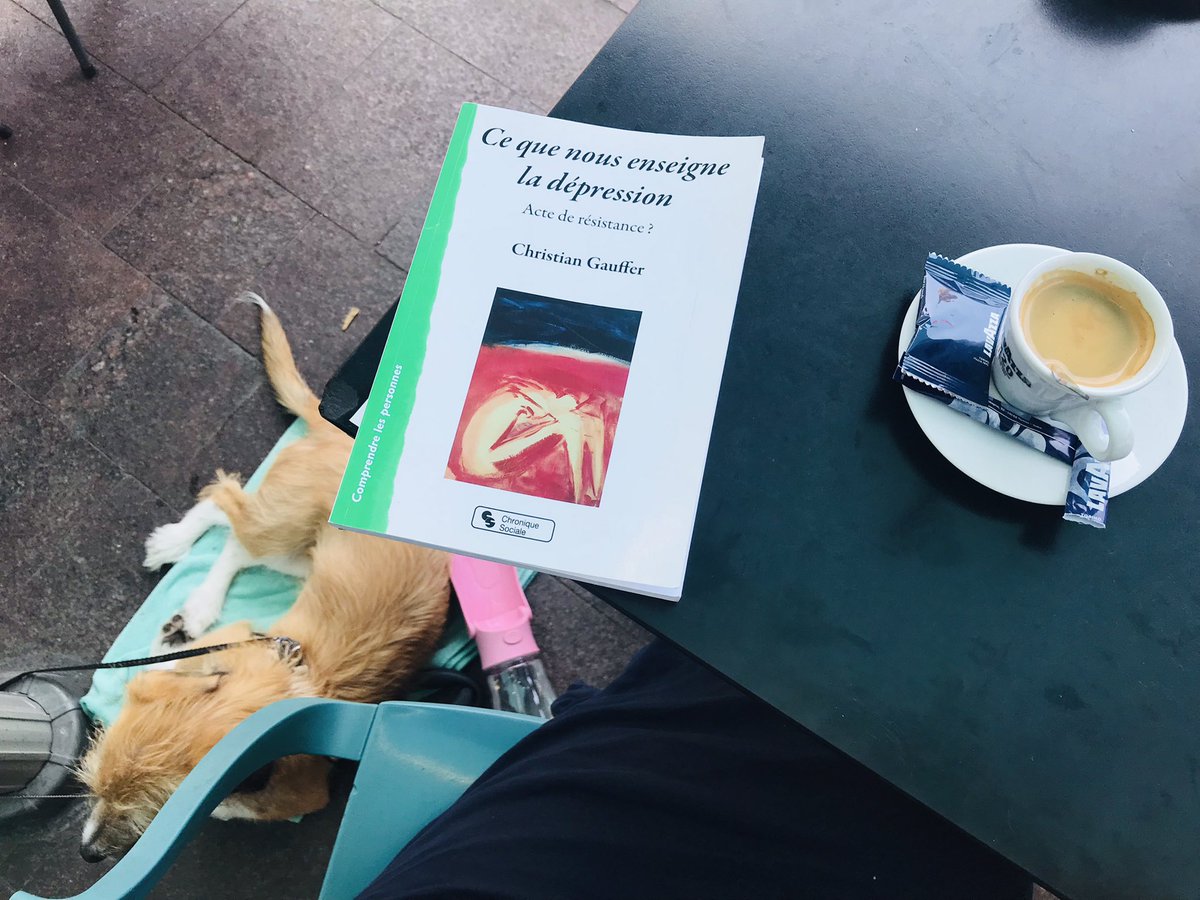 « Qu’est-ce que je vais bien pouvoir lire de sympa pour me détendre pendant mes vacances ? »

#psy #dépression