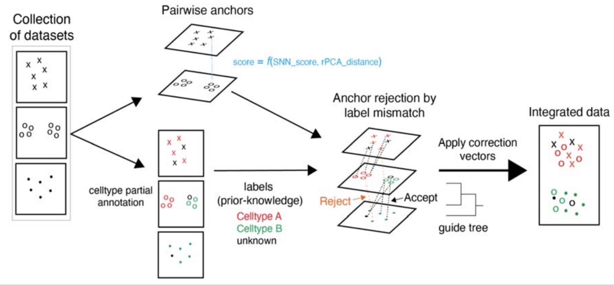 Semi-Supervised Integration Of Single-Cell Transcriptomics Data – GYGP