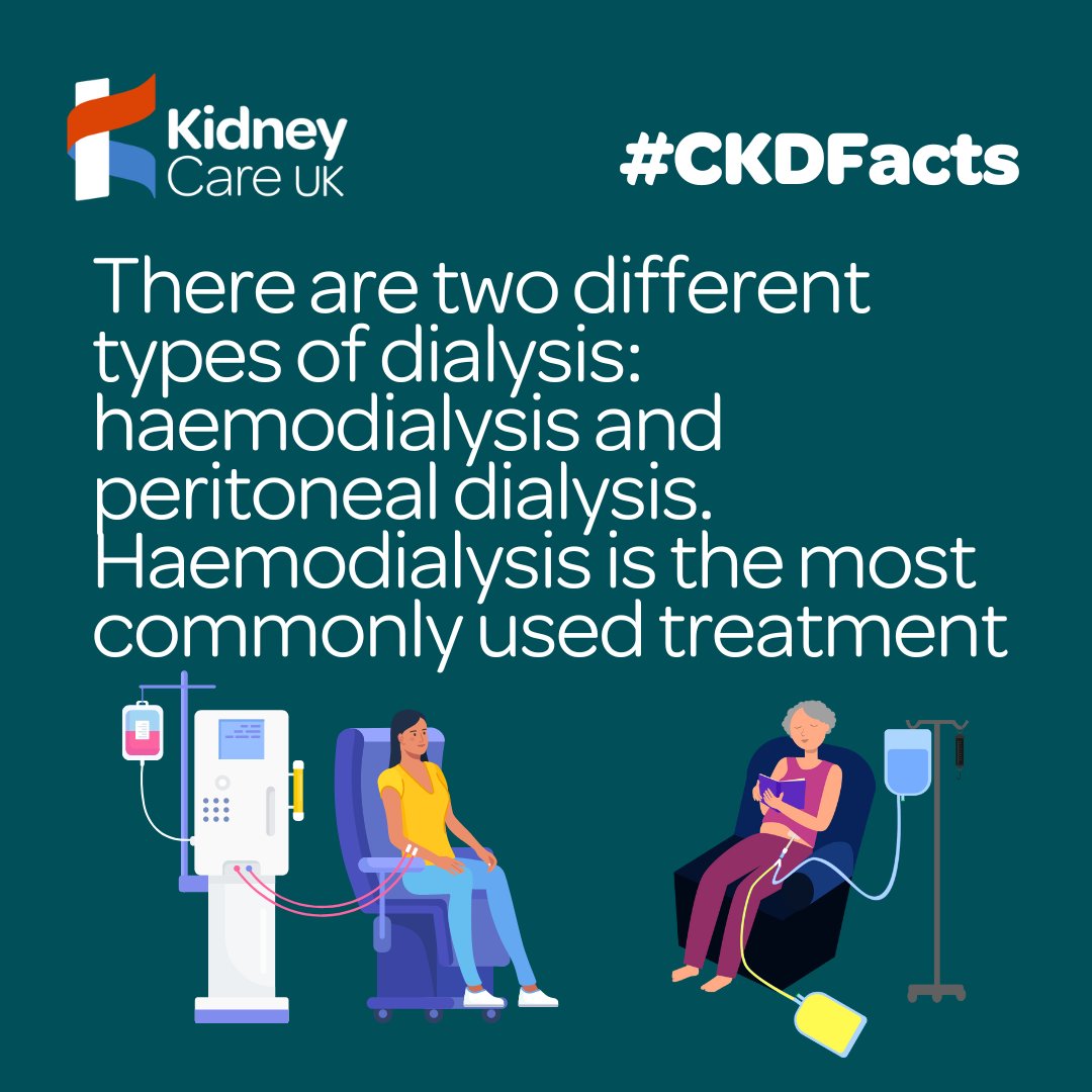 kidneycareuk's tweet photo. ⚠️ There are two types of dialysis which are currently used as a treatment for kidney failure - haemodialysis and peritoneal dialysis #CKDFacts.

▶️ If you want to learn more about kidneys and how dialysis works, please click here: https://t.co/Fbqdd178tD https://t.co/0rkYjeL4I4