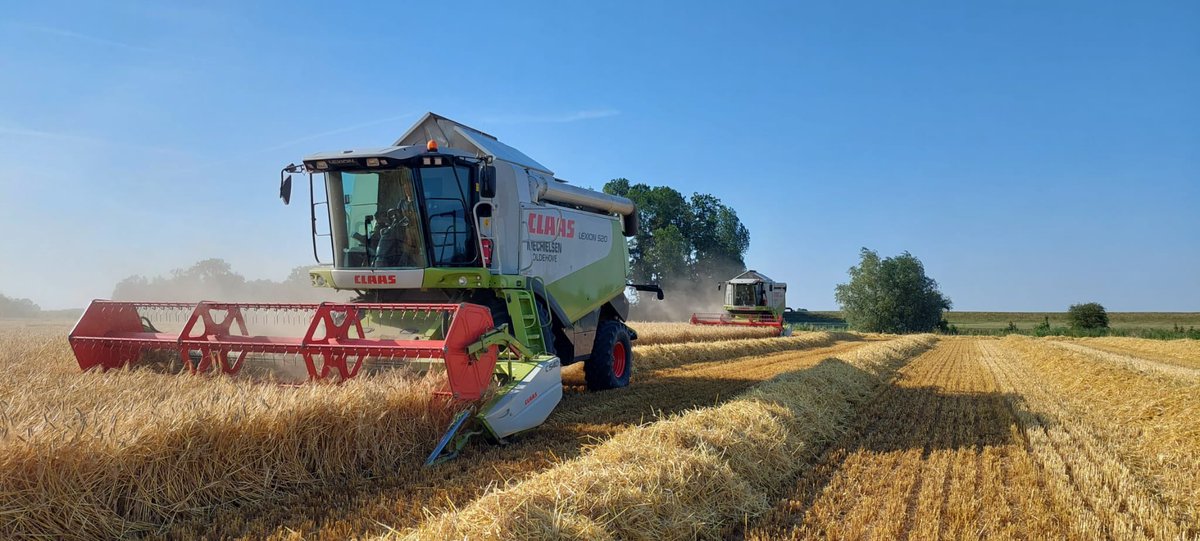 De kop is er af. De wintergerst oogst is aan de kant.