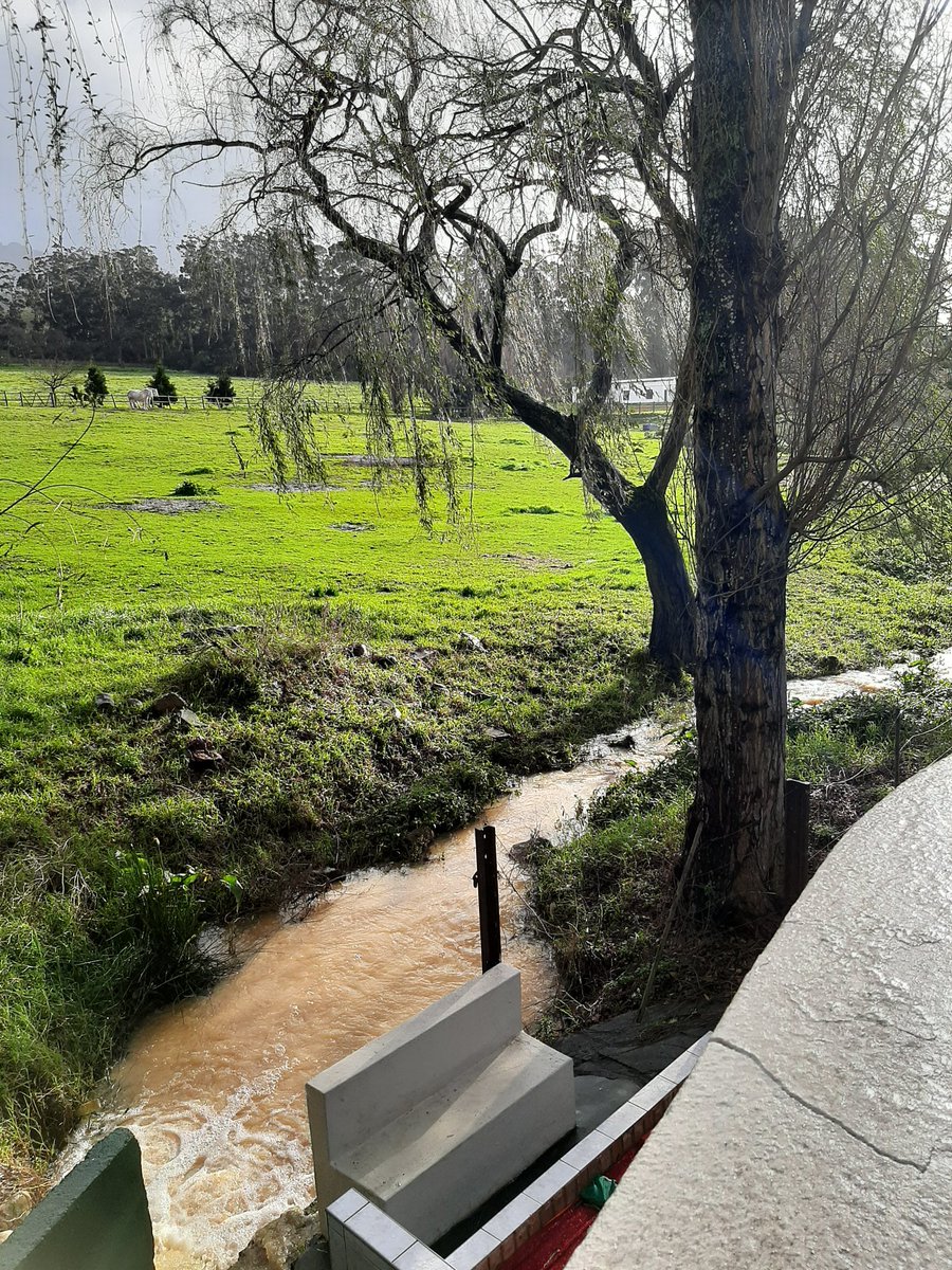 MuhammadBadsha's tweet photo. Setting for earliest Quran classes and worship of Allah in South Africa (Dutch East India Company's forest, now Constantia, Cape Town). Sheikh Abdurahman Matebe Shah, of royal Indonesian lineage and Hafiz came as prisoner in 1668 and taught the Quran at this river and worshipped https://t.co/2dMsJEjOmg