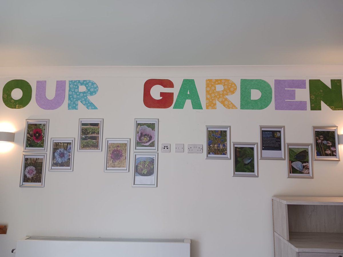 Look at the beauty! 🌸 Our #garden feature wall at Madeira Lodge Care Home is blooming with gorgeous flowers - perfect for brightening up our home. 🌼 #Summertime #FlowerPower #Blooms 🌺