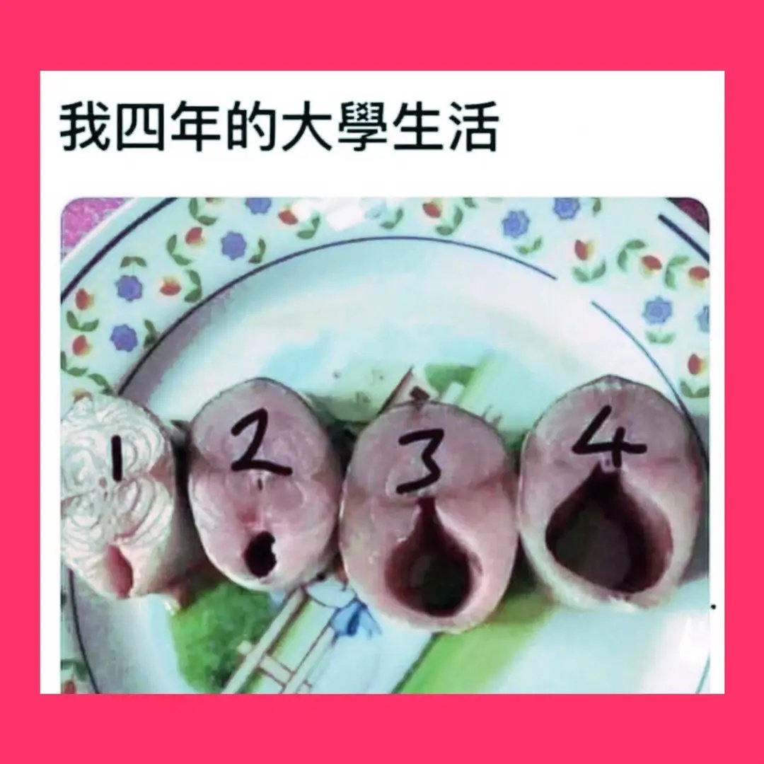 niceLQX's tweet photo. 真实写照 https://t.co/9Ep29NPJSx