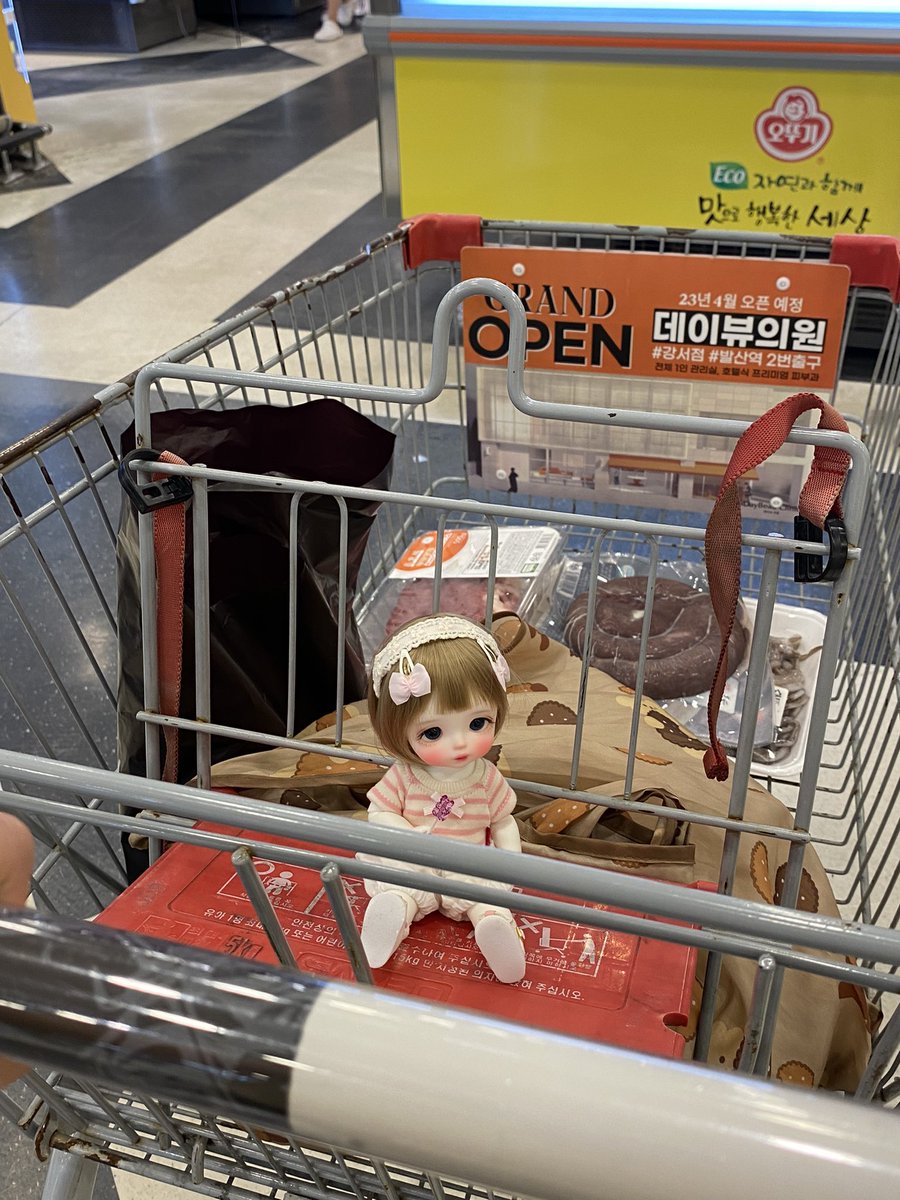 코코냥 tweet media