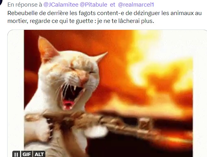 Elle m'envoie aussi des menaces de mort, la bien nommée "calamitée" 
@TwitterFrance @Twitter @TwitterSupport
<a href="/_LICRA_/">Licra</a>