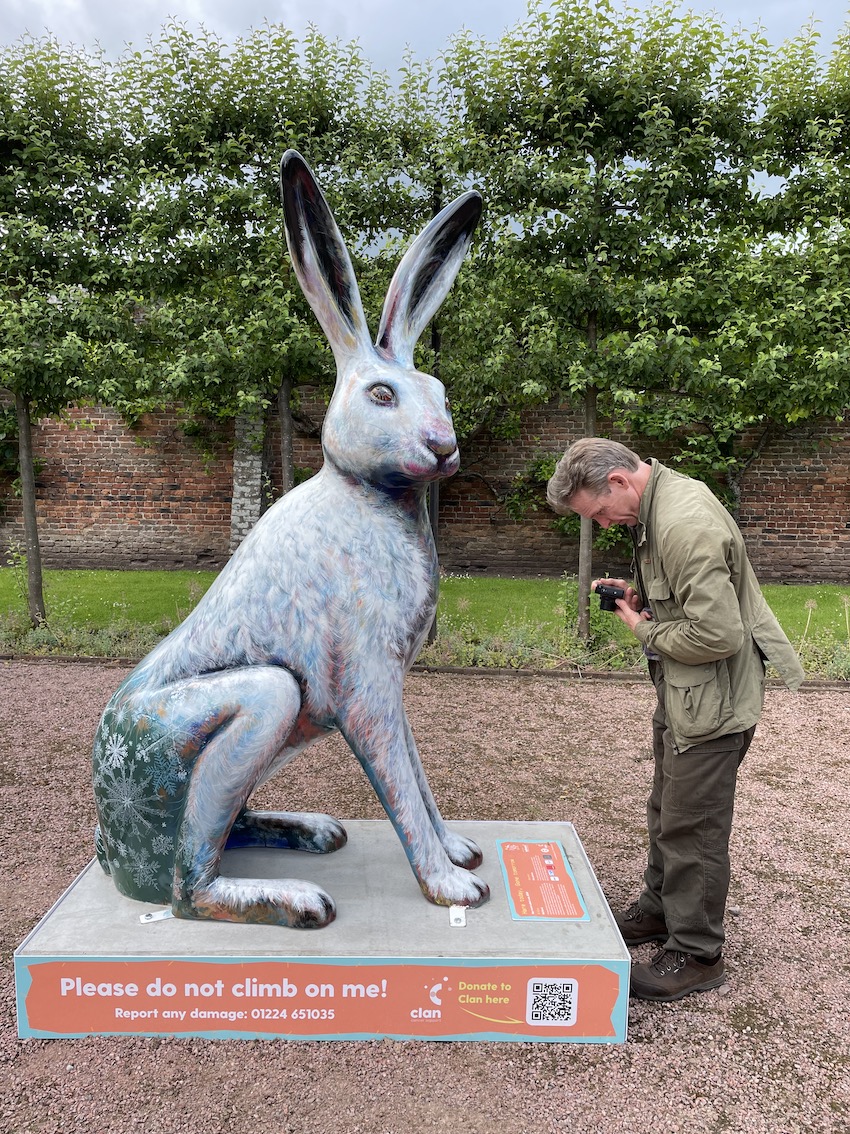 CreativeSTAR's tweet photo. Last Sunday was a hare-brained search for the one in Fochabers. We eventually found it in the Walled Garden at Gordon Castle. #thebighoptrail #wildinart #moray #clancancersupport Hare No. 2 https://t.co/Vv1TaGdECW