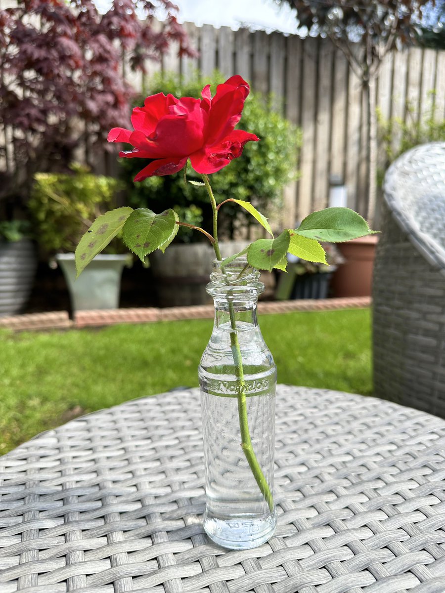 Nando’s hot sauce 🌹