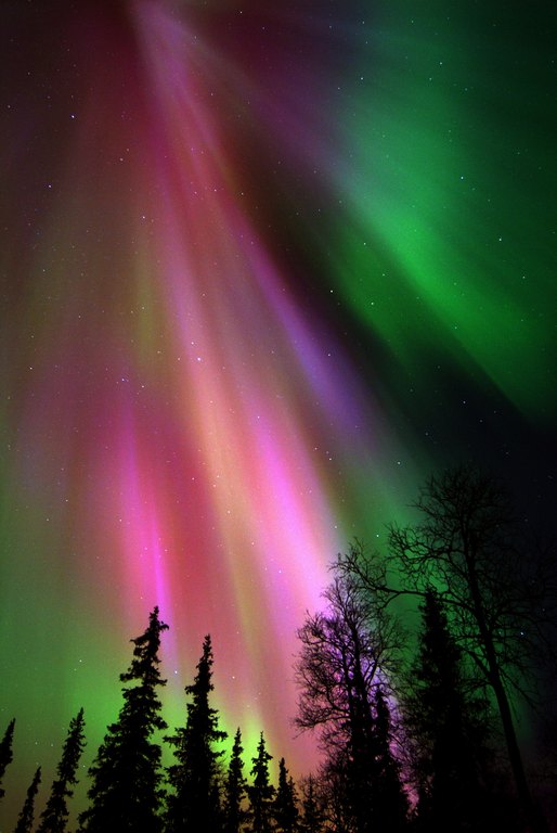 ArcticDirect's tweet photo. Seeing one of the Wonders of the World is a memory that will stay with you forever. The Northern Lights are breathtaking and truly deserving of every bucket list.
#northernlights #auroraborealis #bucketlist #bucketlistholiday #adventuretravel
Credit: Kakslauttanen Arctic Resort https://t.co/23w4wvG9Ww