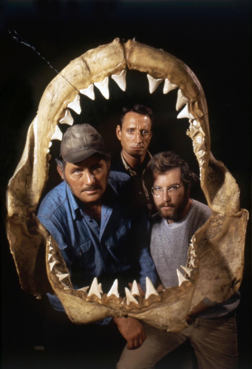 The #casting of Quint, Hooper and Brody in #JAWS is perfection. Do you agree? 

thedailyjaws.com