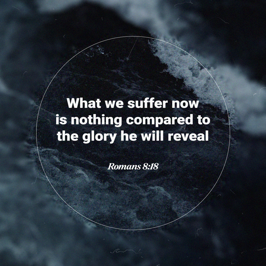YouVersion Bible App tweet media