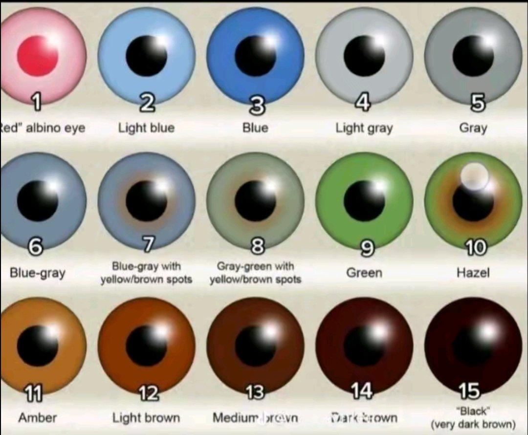 itsD3lay's tweet photo. de q color son tus ojos? https://t.co/kQNNJXLAh0