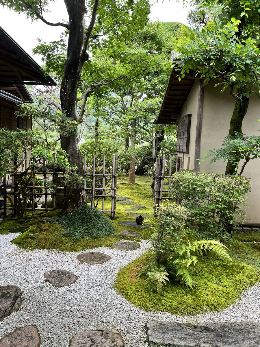 Aujourd’hui à Kyoto, ZEN 😎