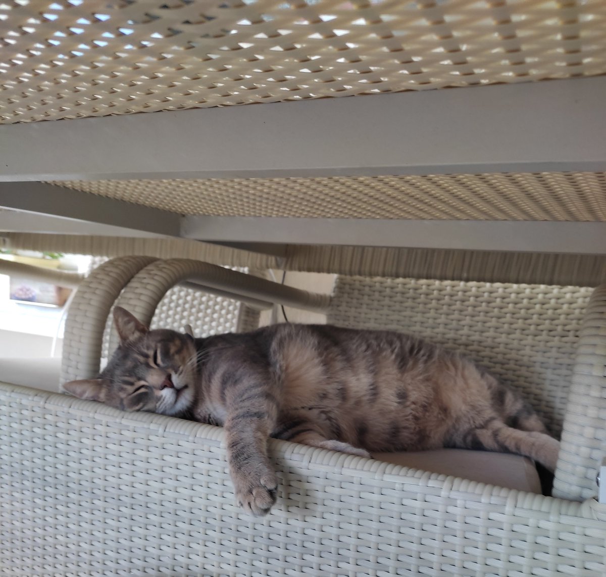 Bana her gün Pazar 😻