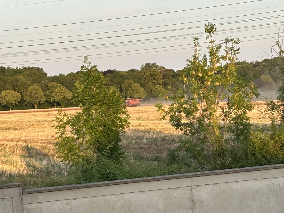julienaguin's tweet photo. Quel plaisir depuis ma terrasse de pouvoir entendre le bruit de la #moissonneuse #batteuse et voir son #agriculteur 👨🏻‍🌾 œuvrer avec elle.

C’est aussi la fierté de notre équipe municipale de préserver cette #ruralité avec l’aide de @Departement77 et de @iledefrance 

Le Plan local d’urbanisme, le Périmètre régional d’intervention foncière, le Règlement local de publicité sont devenus les livres de chevet de mon adjoint @FrancisRousset : Oui, je sais que tu les aime 😇 !

Ces moments simples, c’est le résultat et l’œuvre d’un combat de chaque instants pour le #Voisenon que nous aimons.
