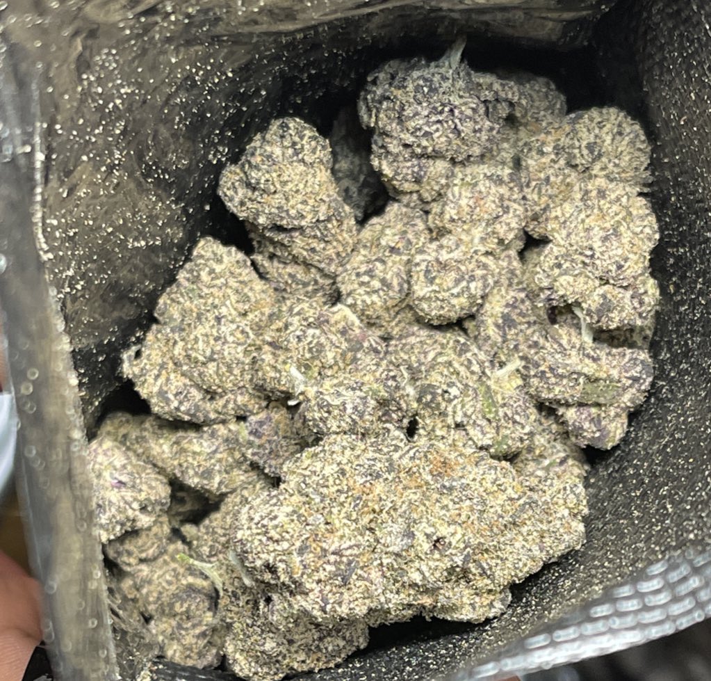 theBeAvSteRr's tweet image. GM🌄

Anyone had their coffee yet? 💨 🍃