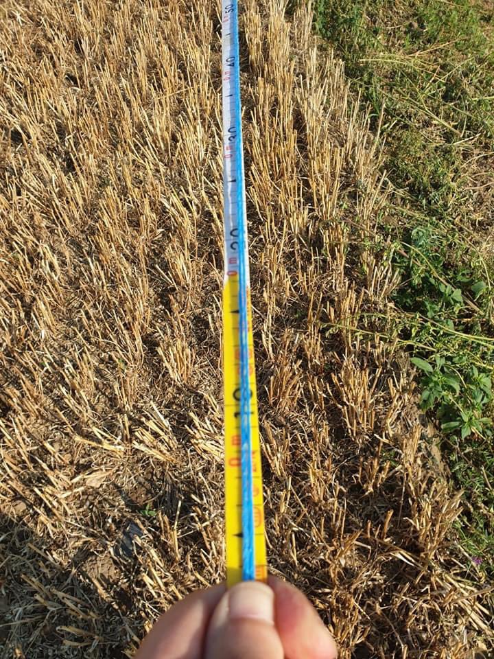 Comice Le Vieil-Baugé tweet media