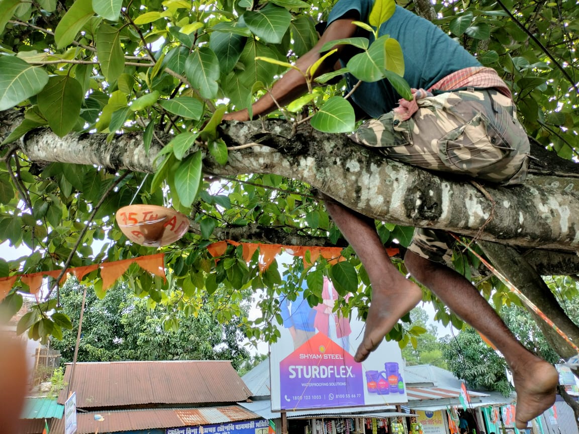 ABVPUttarbanga's tweet photo. ABVP প্রতিষ্ঠা দিবস উপলক্ষে ঘোকসাডাঙ্গা নগরে তীব্র দাবদাহে হাত থেকে পাখিদের বাঁচাতে পানীয় জল ও খাবার পাত্র লাগানো হলো এবং সদস্যতা অভিযানকে সামনে রেখে দেওয়াল লিখন করা হলো।
#ABVP75 #RashtraShakti75 #ABVPUttarBanga #ABVPNorthBengal https://t.co/WHm9aSXs2K
