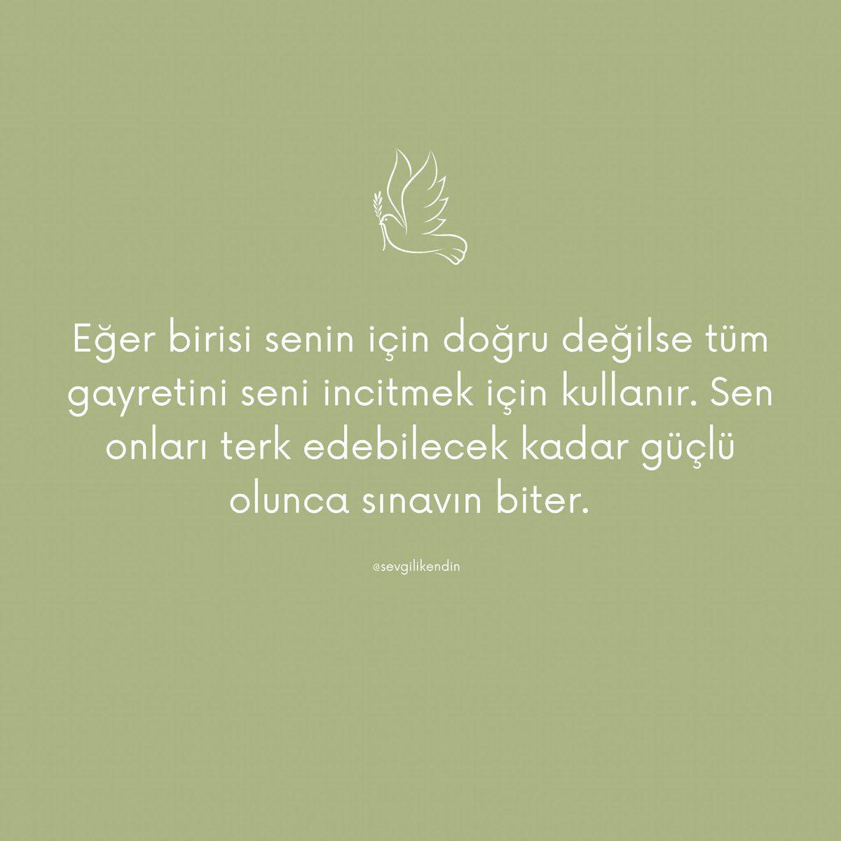 Sevgili kendim, (@sevgilikendin) on Twitter photo 