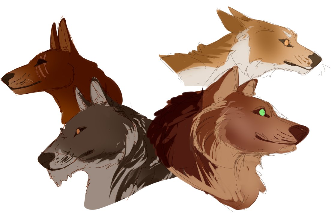 Wocky ✨ tweet media