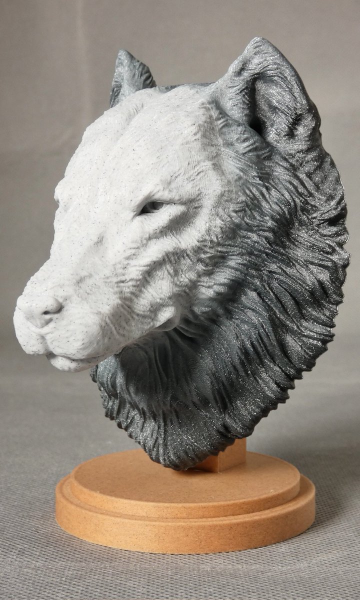I_Maked_These's tweet photo. The beautiful new Wolf from the always outstanding collection of animal busts from @Saddex3D 

Really happy with how the filament transition came out for this one

This amazing bust, as well as all his others, are available via @Cults3D 

https://t.co/6MJ8Evvney https://t.co/A84D8kjnJt