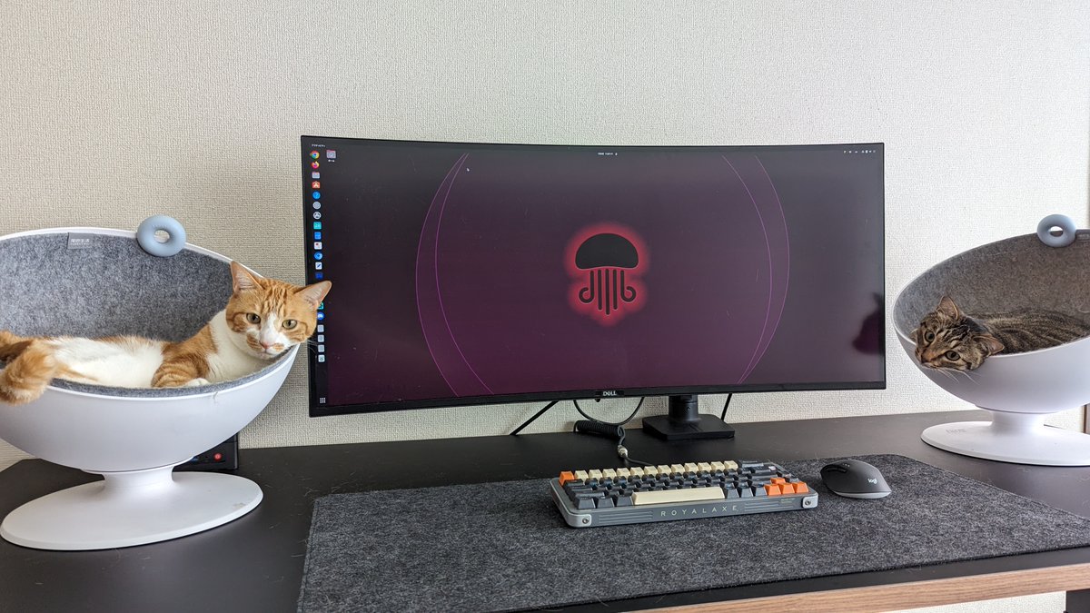 ひろ (@hiroaqii) / Posts / X