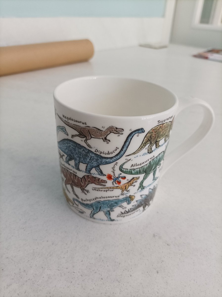 crafty1993's tweet photo. @NHM_London bought this cool mug from your shop but there's a little crack I didn't notice 😔 https://t.co/6owPtlkb9n