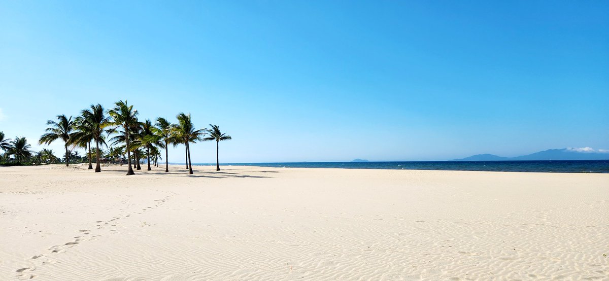 FPL Planner 🇭🇲 tweet media