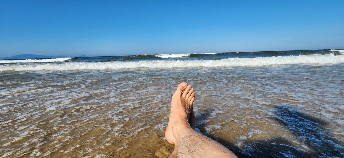 FPL Planner 🇭🇲 tweet media