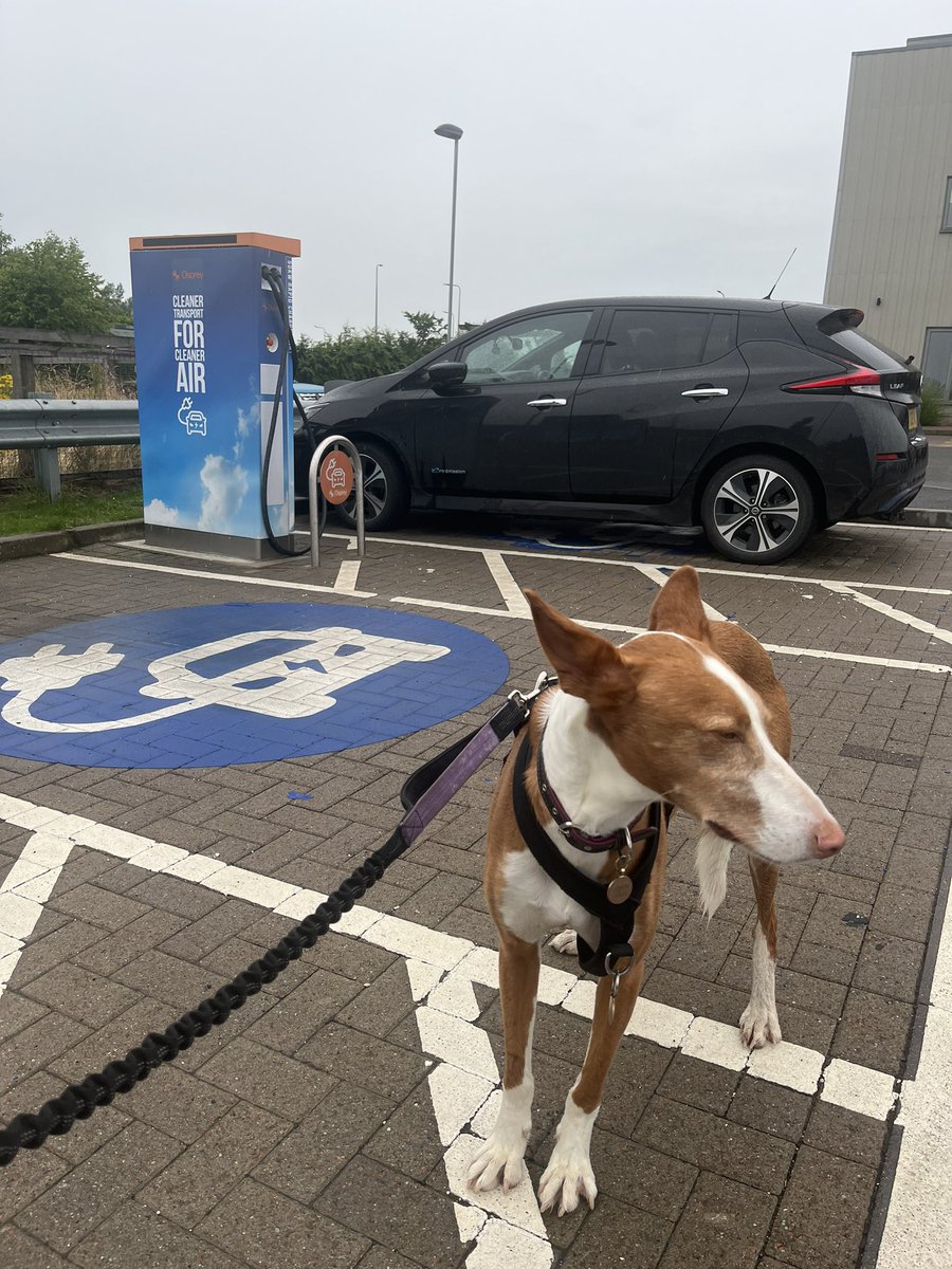 Charging stop at the @OspreyCharging chargers on Kirkcaldy today #chogging