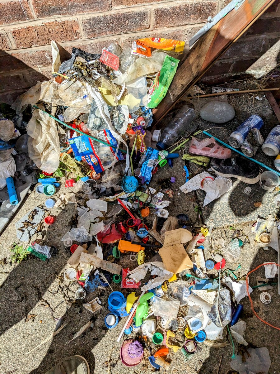 pickerteers's tweet photo. The #pollution as picked by 1 X 9 year old girl yesterday in #Blackpool. Puts into perspective what groups pick, what needs to be done!!! #2minutebeachclean #environment #beachclean #SundayMorning #plastic #plasticpollution #plasticfree #educatebydoing #EducatedPeople #Blackpool https://t.co/vkWlYbud57
