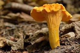 𝕭𝖆𝖗𝖇𝖆𝖗𝖆 tweet media