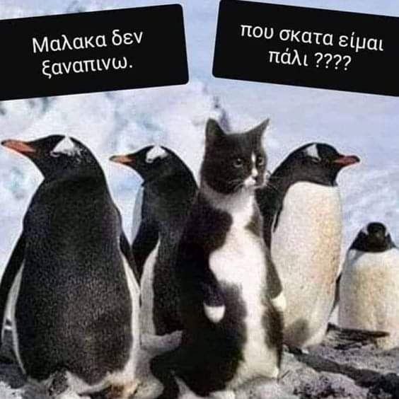 Τaτi🅰️na Pes to tweet media