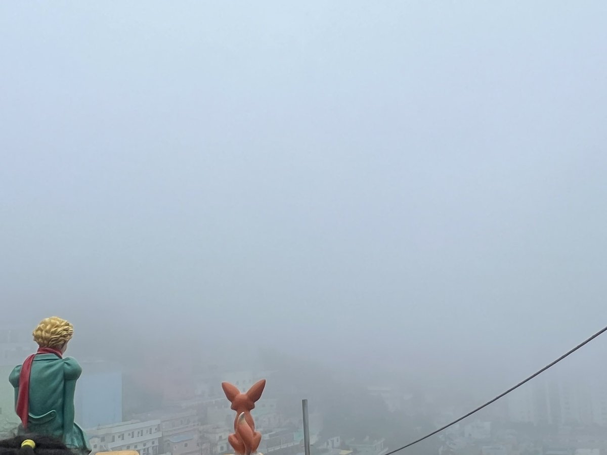 thatscrypto's tweet image. 쿼드헤시 레이드 이벤트 !

다섯번째 우인카페

감천마을 뷰가 여기에 뙇!!

커피는 덤

####

#쿼드헤시 #QUADHASH #스닉픽 #NFT #이두희 #우인카페 #감천마을 #부산 #남포동