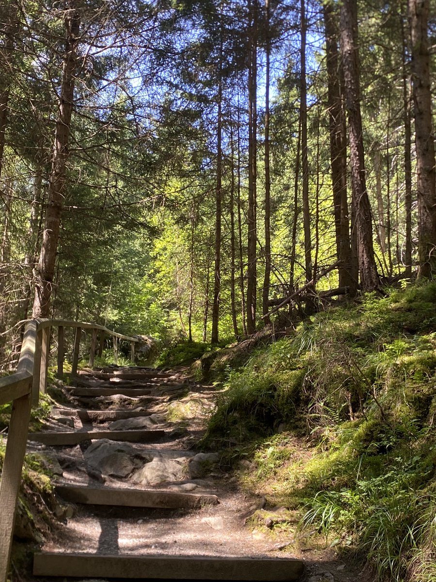 Happy Sunday! Don’t forget to touch some grass once in a while