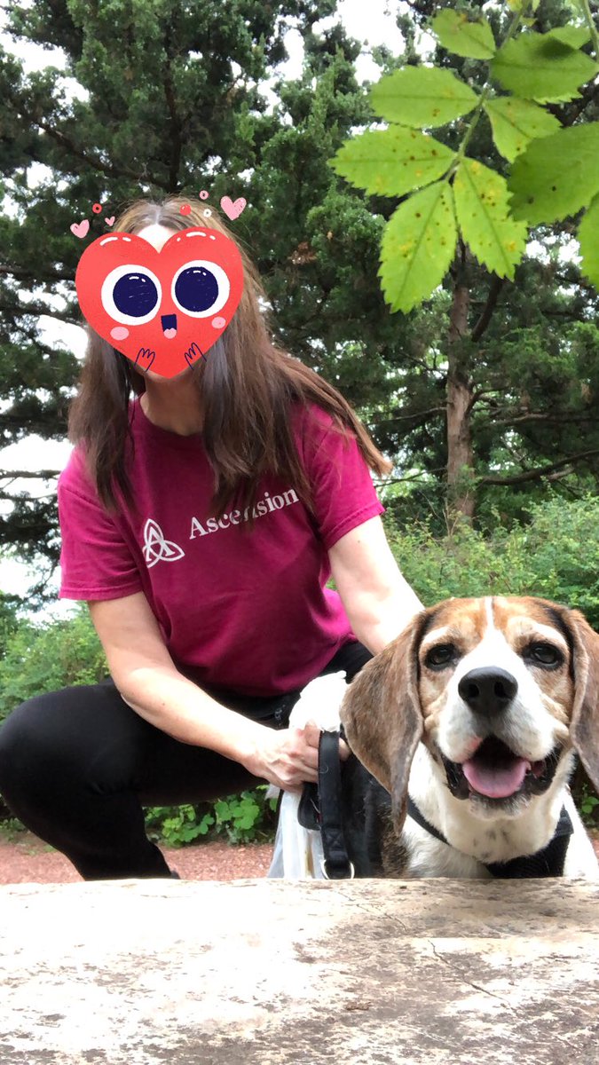 Noreen Sheridan (@sheridan_noreen) on Twitter photo As my 20 year old said, “Bros smiling for the camera!!!”🤣😆😍🐶❤️#beagles #beagle #beaglefacts <a href="/beaglefacts/">Beagle Facts</a> #mydogisthecutest #DogsofTwittter #pawprints #thatface #poser #pureexcitement #hilariousdog #mydogcracksmeup As my 20 year old said, “Bros smiling for the camera!!!”🤣😆😍🐶❤️#beagles #beagle #beaglefacts <a href="/beaglefacts/">Beagle Facts</a> #mydogisthecutest #DogsofTwittter #pawprints #thatface #poser #pureexcitement #hilariousdog #mydogcracksmeup