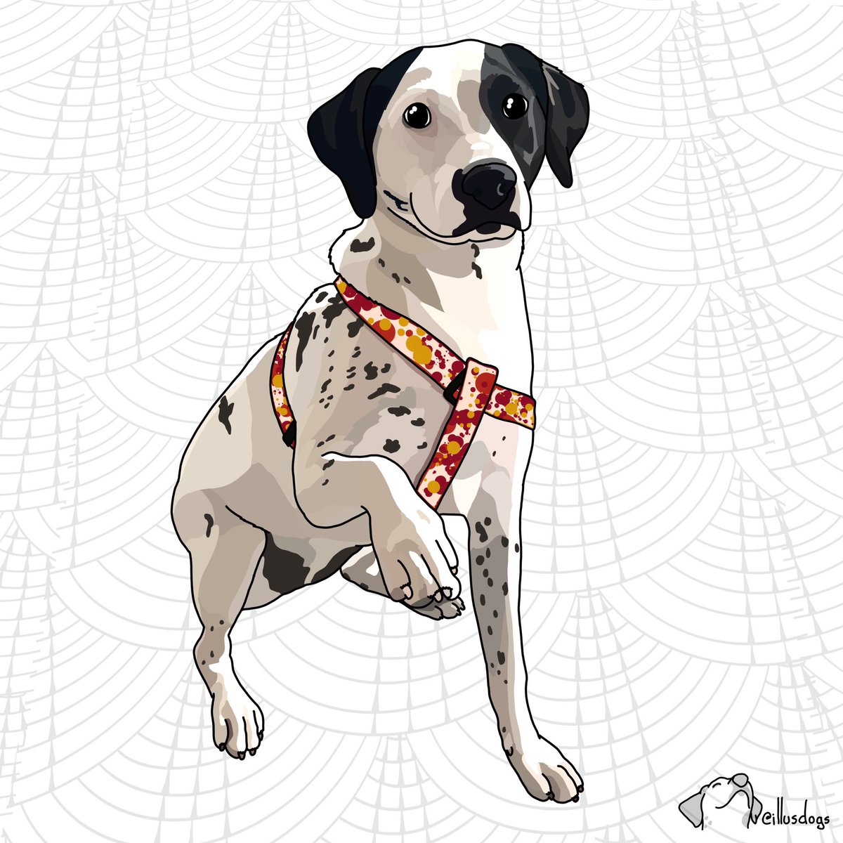 Illustrated Dogs tweet media