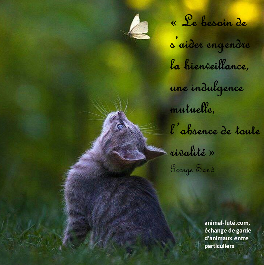 AnimalFute's tweet photo. https://t.co/HFJHUh6ZyB
#EchangeGratuitdeGardeDAnimauxEntreParticuliers https://t.co/EIjBZPjdrn