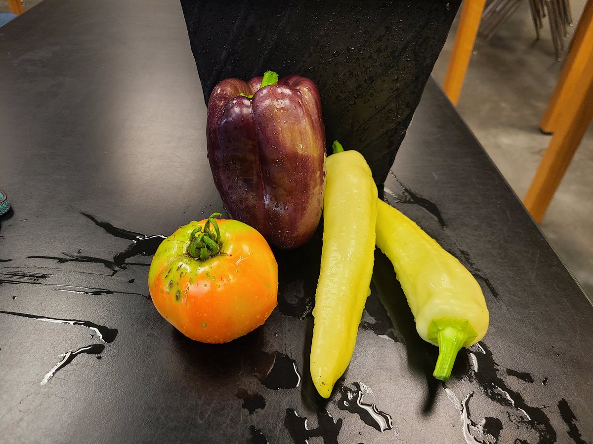 Mikaela Zimmerman Ed.D tweet media