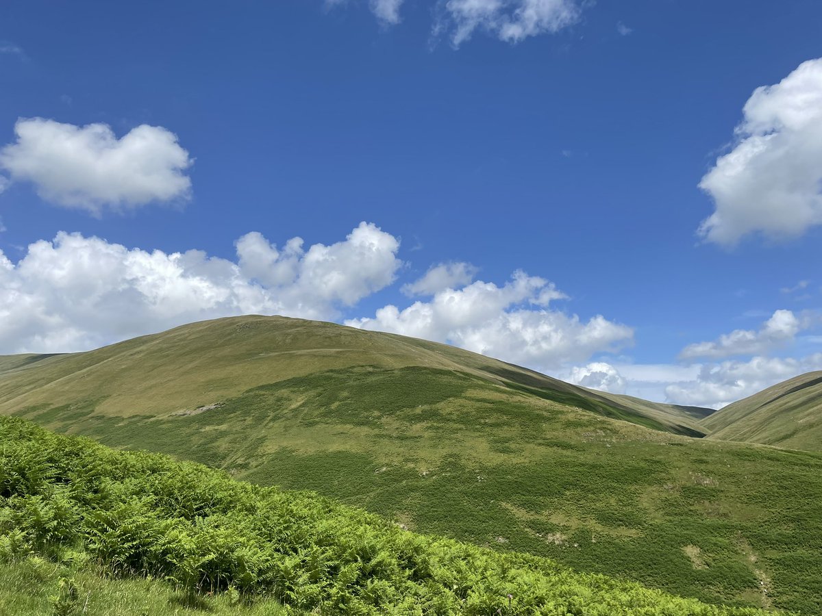 befituddingston's tweet photo. Ben Cleuch 🏴󠁧󠁢󠁳󠁣󠁴󠁿

Great day walking in the  Ochils 🏔️

Getting out in nature is so good for your physical and mental health 🍃 
#bencleuch #bencleuchcircular #theochils #ochilhillsscotland #tillicoultry #hillwalkingscotland #navigationtraining #befituddingston #outinnature🍃 https://t.co/75RCYLWnB5