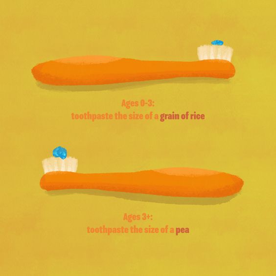 #Dentaltip For the babies, here's how much toothpaste you should use. #toothenamel  #dentalanxiety #dentalfact #dentalhygiene #oralcare #dentalcare #dentist #vancouverdentists #dentists #teeth #brushyourteeth