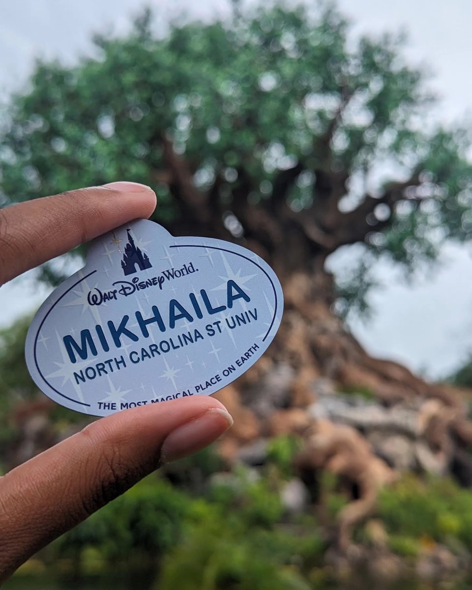 NCStateAlumni's tweet photo. We think our alumni are ✨magical✨, especially when they’re repping the Pack from the most magical place on Earth. Have a post-grad adventure you want to share? Use #HowlBack in your posts to be featured on our social media!

📸: Mikhaila Estwick ’23, B.S. Zoology (@mequeque_) https://t.co/qBw7i3bxnF