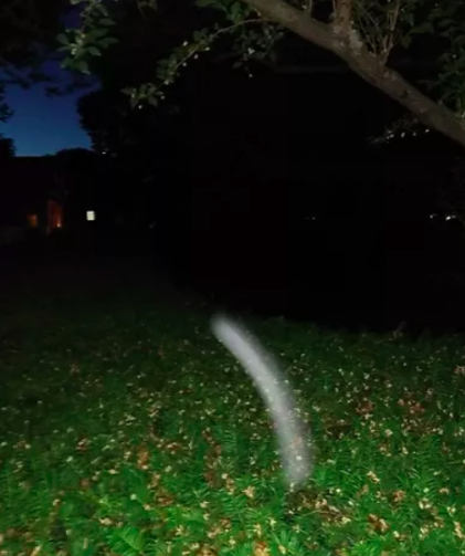 SalemHistorical's tweet photo. A white streak appears in this photo on the #Salem common. It seems too large to be an insect's flight path and doesn't resemble typical #spiritorbs. 

#ghosts #haunted #paranormal #Salemma #Salemmass #Salemmassachusetts #Salemhistoricaltours #hauntedfootstepsghosttour https://t.co/bQsIaH86uk