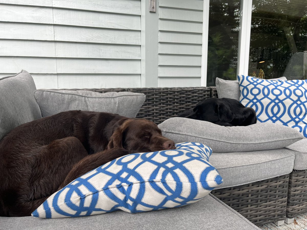 We love a good #nap &amp; #pillows