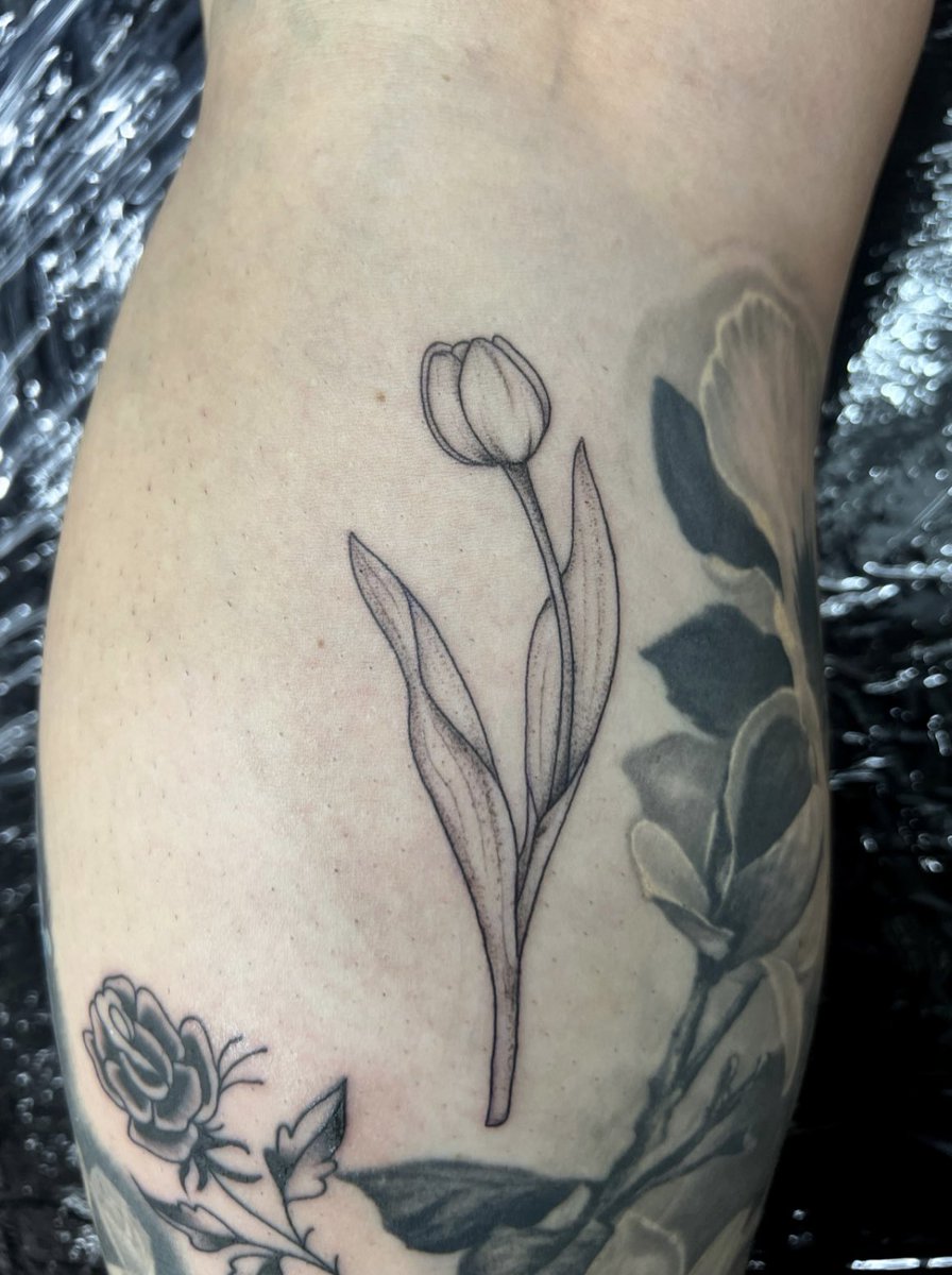 Small Fine Line Tattoo Amsterdam 
#finelinetattoo #tuliptattoo #floraltattoo #finelinetattooartist #claudiafedorovici #tattooartistsamsterdam