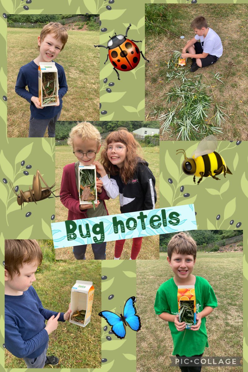 pdcsalternative's tweet photo. We’ve been busy creating new minibeast habitats in our Forest School sessions this week. Recycling materials to create a wormery and exploring the field for loose parts to make new homes for insects that visit our field. @yr2PDCS @PDCSYr3and4 @PDCSPrimary  #forestschool https://t.co/GqATvjjgGX