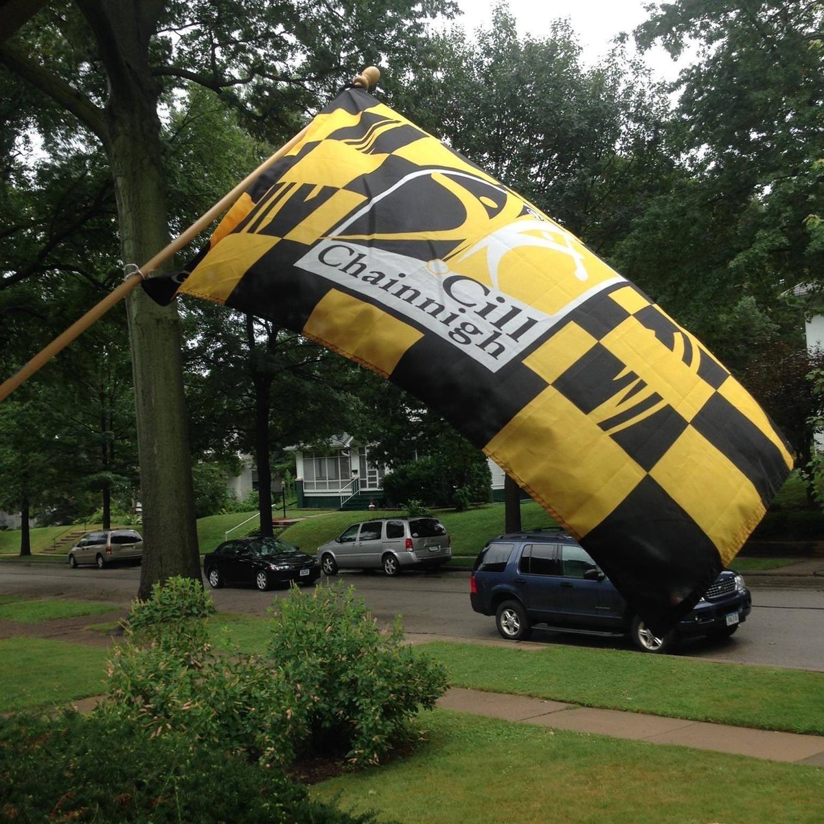 Up the Cats 🐈‍⬛  dig in lads!