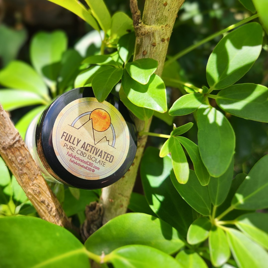 Fully_Activated's tweet image. 💚 With more than 99% purity, this premium powder brings you the full potential of Cannabidiol. Try it for yourself!

fullyactivatedcbd.com

#fullyactivatedcbd #fullyactivated #ActivateYourLife #cbd #fullspectrum #cbdwellness #cbdisolate #isolate #pureisolate #purecbd #organic