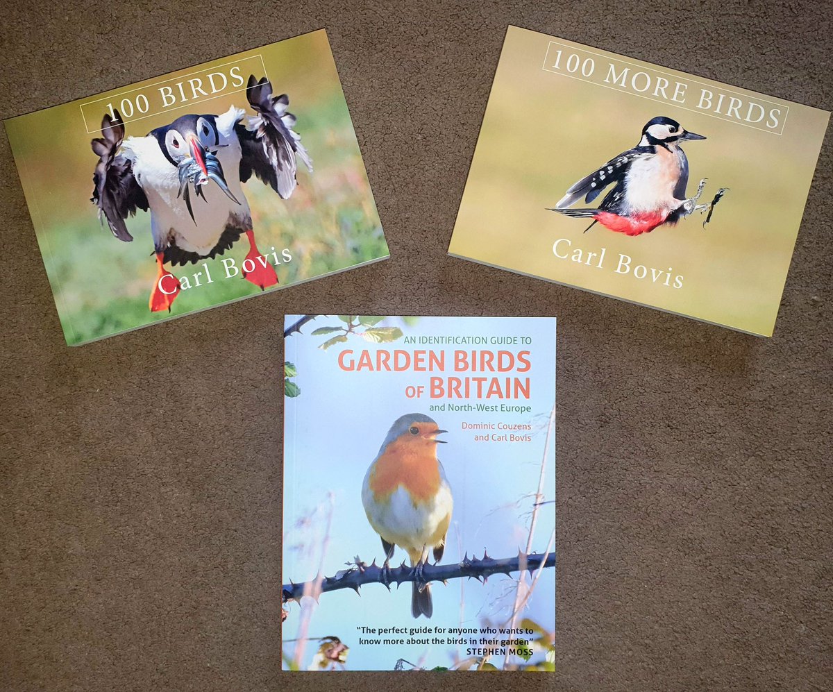 You can now buy all 3 of my books from my online store here; carlbovis.com/100-birds-book 😀 My 1st, 100 Birds, featuring 100 of my best bird pics & associated stories, my 2nd, 100 More Birds, more of the same, & my new book with @DominicCouzens, an ID guide to Garden Birds! 😀🐦