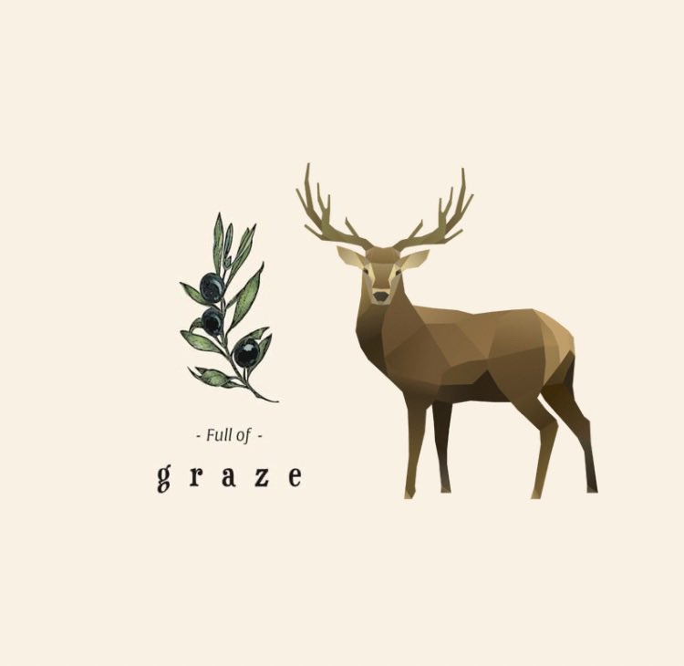 Nordik_Kitchen's tweet photo. Our first Swansea pop up will be at Full of Graze in the Mumbles
21/07 
12 days to go! https://t.co/Ph2Wv8syE7
